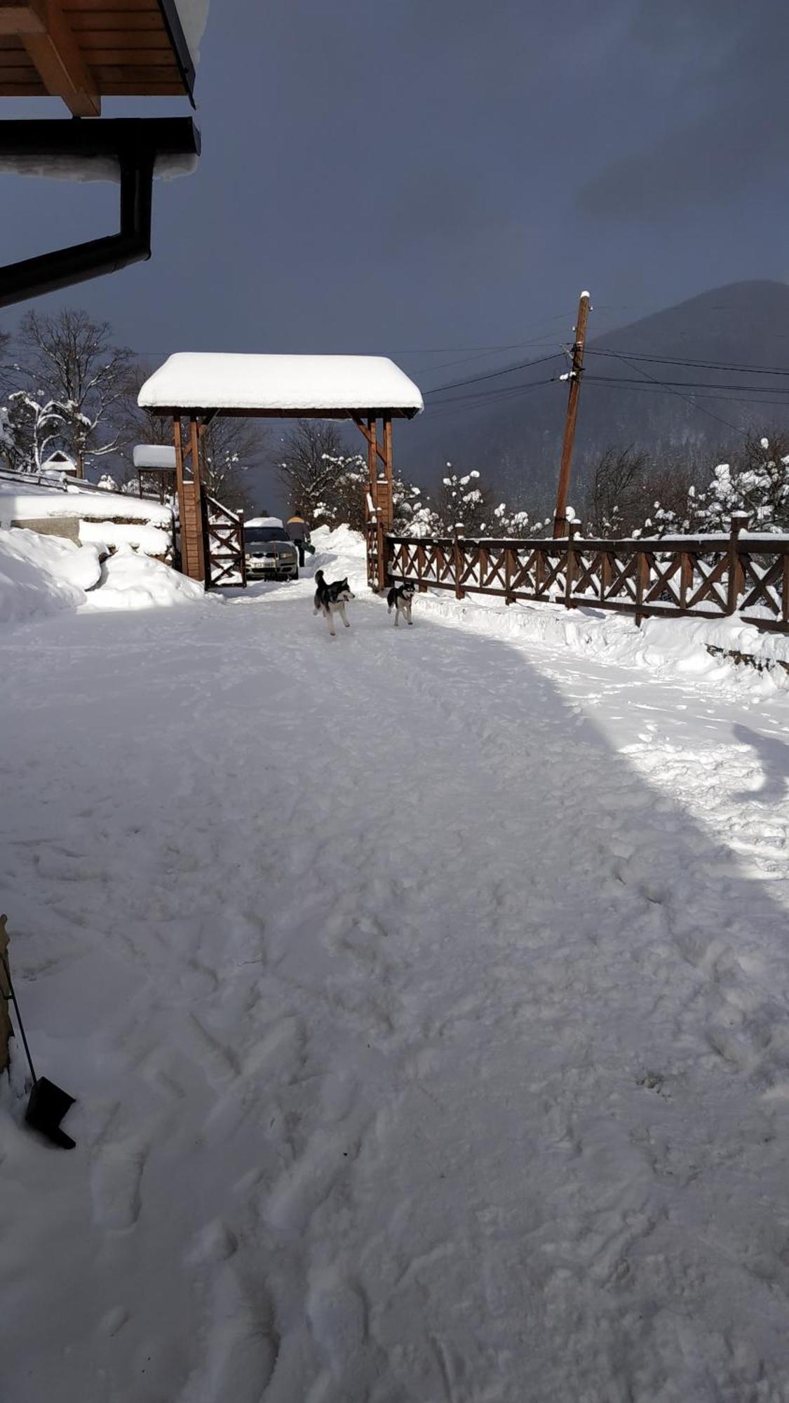 Sadyba Chertizh Tatariw Exterior foto